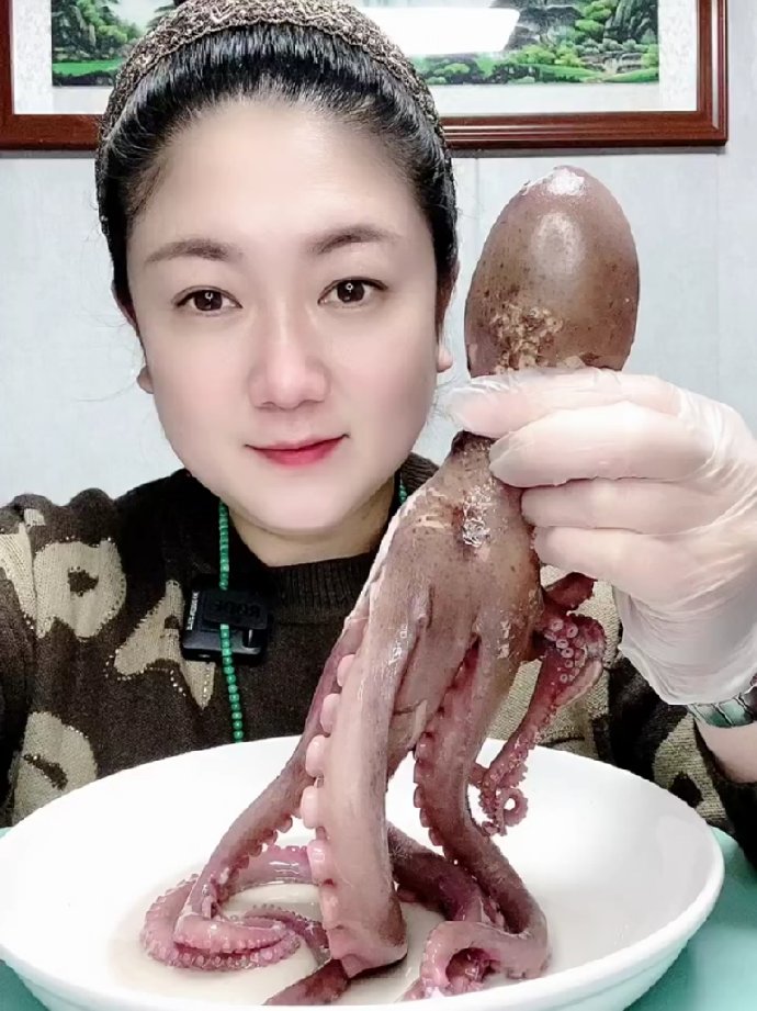 渤哥vs章鱼视频直播，从海错图到直播间，一场跨越时空的海鲜奇遇